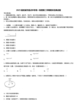 2025届武威市重点中学高一物理第二学期期末经典试题含解析