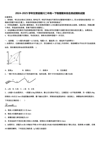 2024-2025学年甘肃省银川二中高一下物理期末综合测试模拟试题含解析
