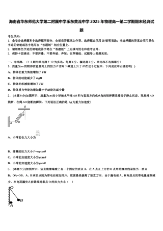 海南省华东师范大学第二附属中学乐东黄流中学2025年物理高一第二学期期末经典试题含解析