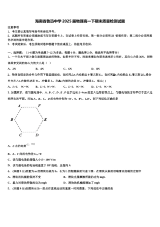 海南省鲁迅中学2025届物理高一下期末质量检测试题含解析