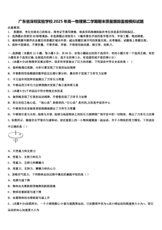 广东省深圳实验学校2025年高一物理第二学期期末质量跟踪监视模拟试题含解析
