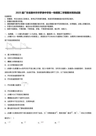 2025届广东省惠州市华罗庚中学高一物理第二学期期末预测试题含解析