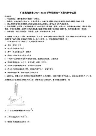 广东省梅州市2024-2025学年物理高一下期末联考试题含解析