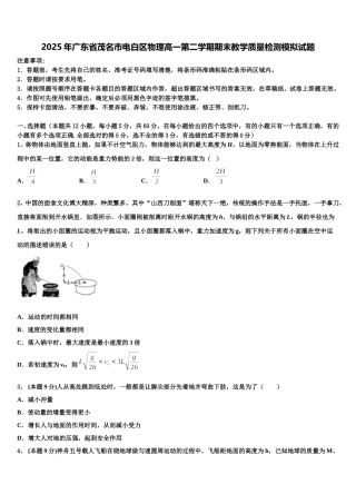 2025年广东省茂名市电白区物理高一第二学期期末教学质量检测模拟试题含解析