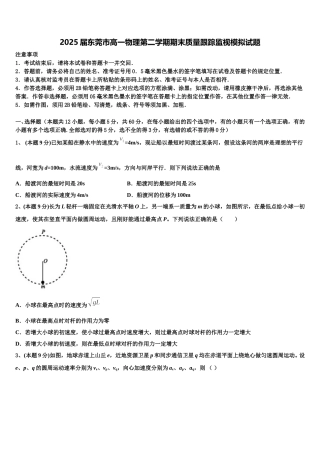 2025届东莞市高一物理第二学期期末质量跟踪监视模拟试题含解析