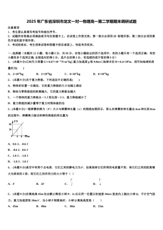 2025年广东省深圳市龙文一对一物理高一第二学期期末调研试题含解析
