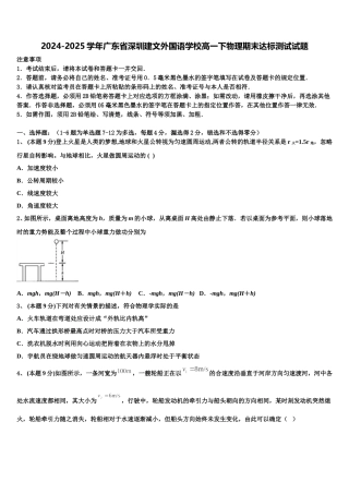 2024-2025学年广东省深圳建文外国语学校高一下物理期末达标测试试题含解析
