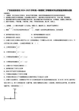 广东省省际名校2024-2025学年高一物理第二学期期末学业质量监测模拟试题含解析