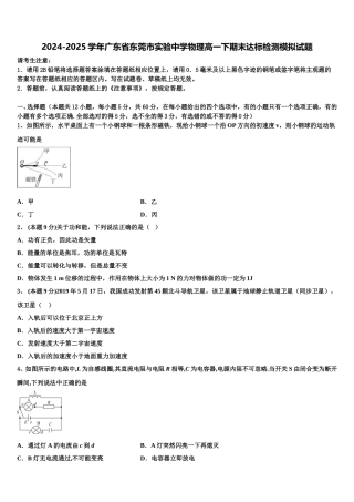 2024-2025学年广东省东莞市实验中学物理高一下期末达标检测模拟试题含解析