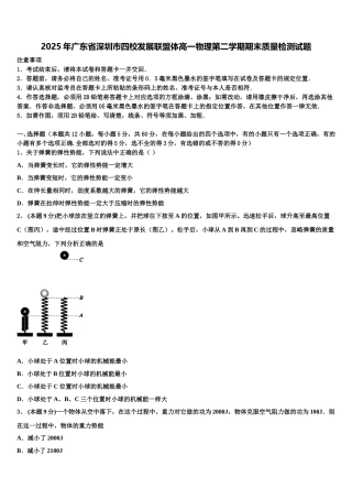2025年广东省深圳市四校发展联盟体高一物理第二学期期末质量检测试题含解析