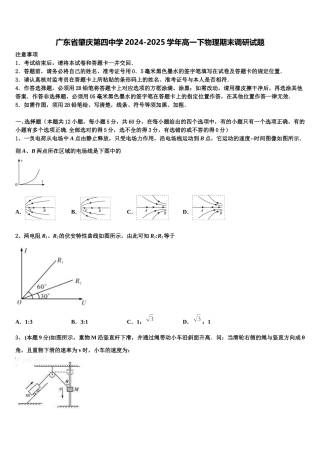 广东省肇庆第四中学2024-2025学年高一下物理期末调研试题含解析
