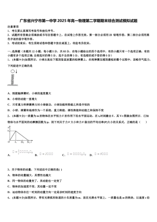 广东省兴宁市第一中学2025年高一物理第二学期期末综合测试模拟试题含解析