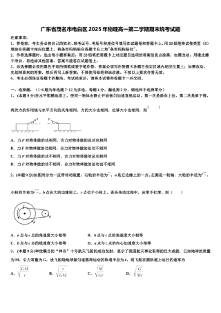 广东省茂名市电白区2025年物理高一第二学期期末统考试题含解析