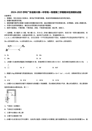 2024-2025学年广东省新兴第一中学高一物理第二学期期末检测模拟试题含解析