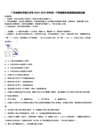 广东省惠州市第三中学2024-2025学年高一下物理期末质量跟踪监视试题含解析