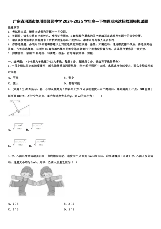 广东省河源市龙川县隆师中学2024-2025学年高一下物理期末达标检测模拟试题含解析