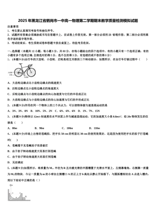 2025年黑龙江省鹤岗市一中高一物理第二学期期末教学质量检测模拟试题含解析