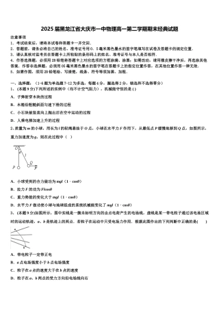 2025届黑龙江省大庆市一中物理高一第二学期期末经典试题含解析