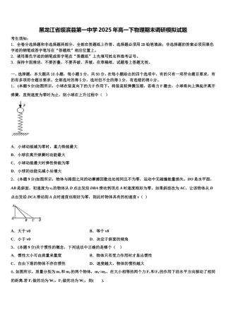 黑龙江省绥滨县第一中学2025年高一下物理期末调研模拟试题含解析