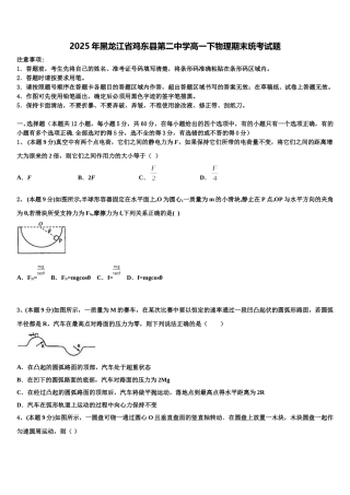 2025年黑龙江省鸡东县第二中学高一下物理期末统考试题含解析