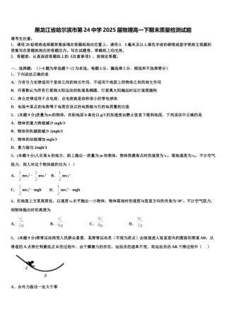 黑龙江省哈尔滨市第24中学2025届物理高一下期末质量检测试题含解析