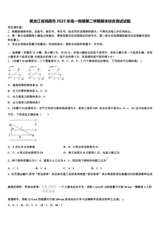 黑龙江省鸡西市2025年高一物理第二学期期末综合测试试题含解析