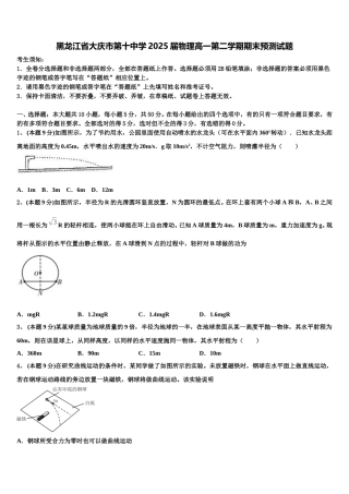 黑龙江省大庆市第十中学2025届物理高一第二学期期末预测试题含解析