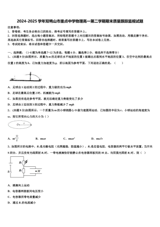 2024-2025学年双鸭山市重点中学物理高一第二学期期末质量跟踪监视试题含解析