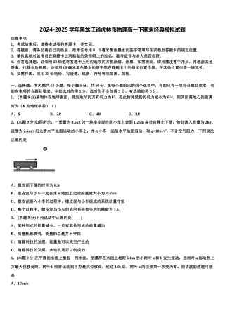 2024-2025学年黑龙江省虎林市物理高一下期末经典模拟试题含解析