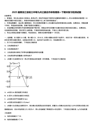 2025届黑龙江省哈三中等九州之巅合作体物理高一下期末复习检测试题含解析