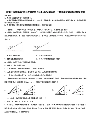 黑龙江省哈尔滨市师范大学附中2024-2025学年高一下物理期末复习检测模拟试题含解析