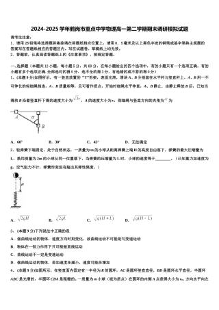 2024-2025学年鹤岗市重点中学物理高一第二学期期末调研模拟试题含解析