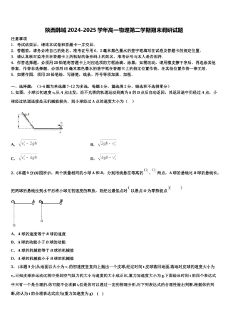 陕西韩城2024-2025学年高一物理第二学期期末调研试题含解析