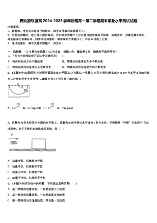 西北狼联盟高2024-2025学年物理高一第二学期期末学业水平测试试题含解析