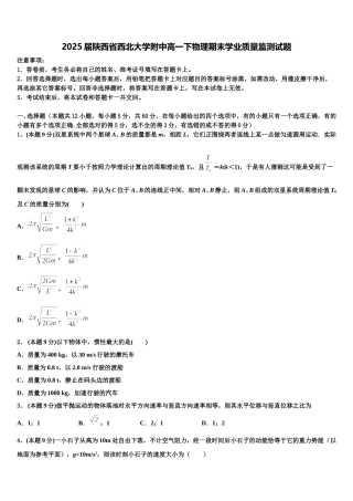 2025届陕西省西北大学附中高一下物理期末学业质量监测试题含解析