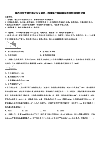 陕西师范大学附中2025届高一物理第二学期期末质量检测模拟试题含解析