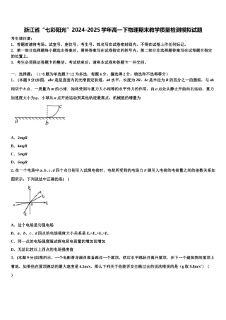 浙江省“七彩阳光”2024-2025学年高一下物理期末教学质量检测模拟试题含解析
