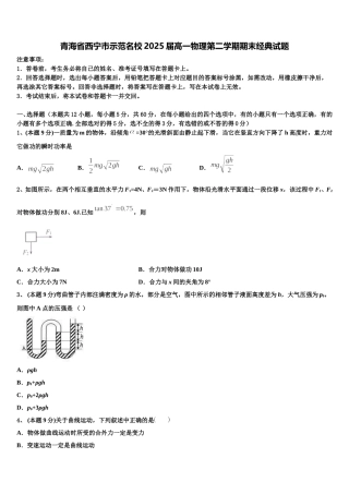 青海省西宁市示范名校2025届高一物理第二学期期末经典试题含解析