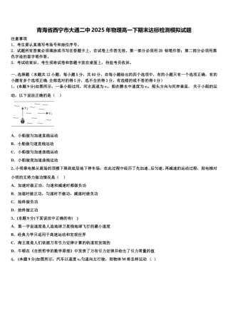 青海省西宁市大通二中2025年物理高一下期末达标检测模拟试题含解析