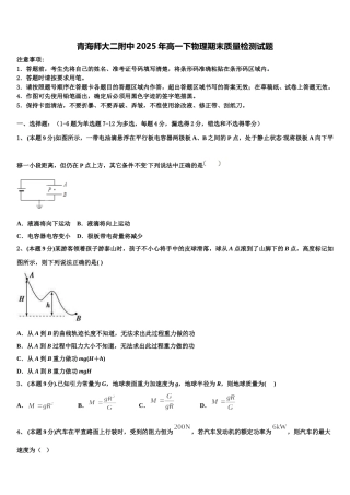 青海师大二附中2025年高一下物理期末质量检测试题含解析