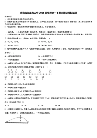 青海省海东市二中2025届物理高一下期末调研模拟试题含解析