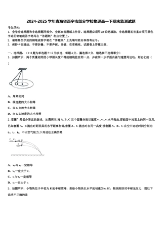 2024-2025学年青海省西宁市部分学校物理高一下期末监测试题含解析