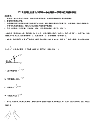 2025届河北省唐山市乐亭一中物理高一下期末检测模拟试题含解析