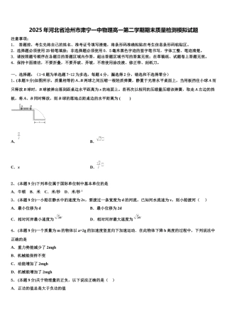 2025年河北省沧州市肃宁一中物理高一第二学期期末质量检测模拟试题含解析