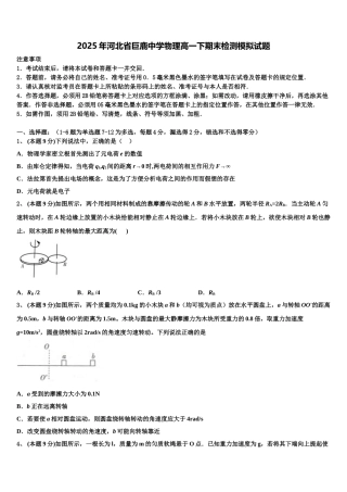 2025年河北省巨鹿中学物理高一下期末检测模拟试题含解析
