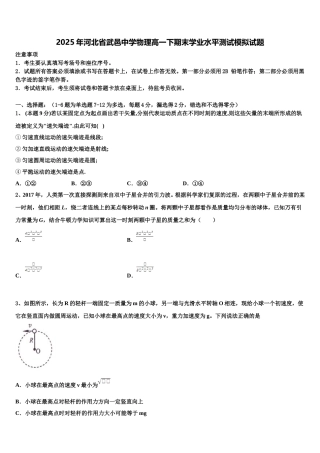 2025年河北省武邑中学物理高一下期末学业水平测试模拟试题含解析