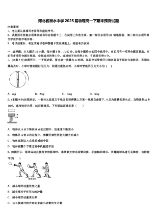 河北省衡水中学2025届物理高一下期末预测试题含解析