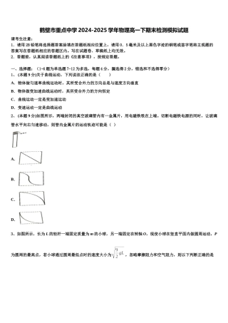 鹤壁市重点中学2024-2025学年物理高一下期末检测模拟试题含解析