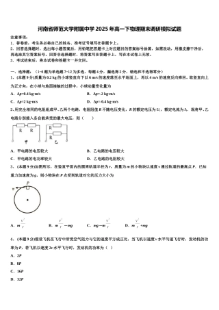河南省师范大学附属中学2025年高一下物理期末调研模拟试题含解析