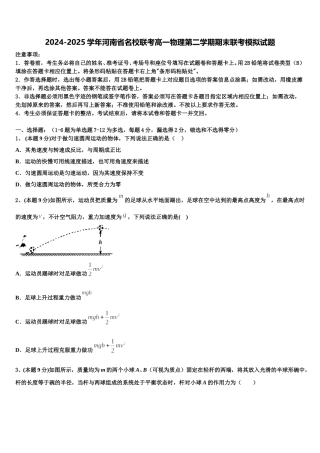 2024-2025学年河南省名校联考高一物理第二学期期末联考模拟试题含解析